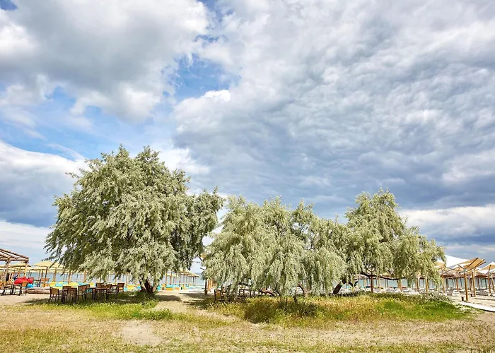 公寓 Summer Time Tomis